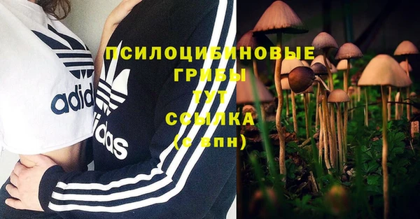 a pvp Алзамай