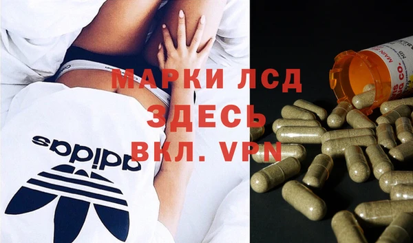 a pvp Алзамай