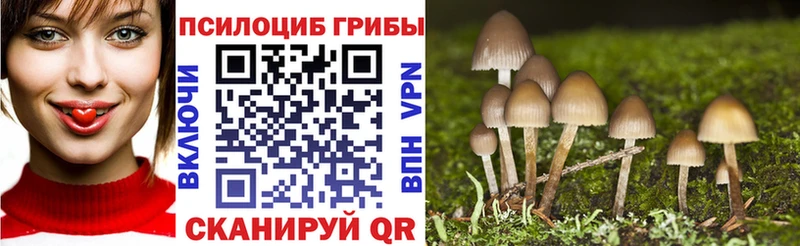 Псилоцибиновые грибы прущие грибы Стародуб
