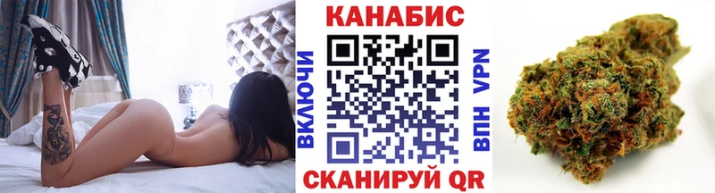 Конопля Ganja  Стародуб 